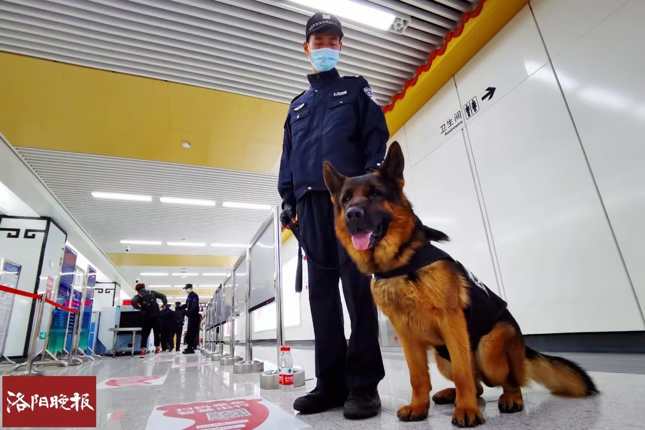 微微 图片 _20210329100801.